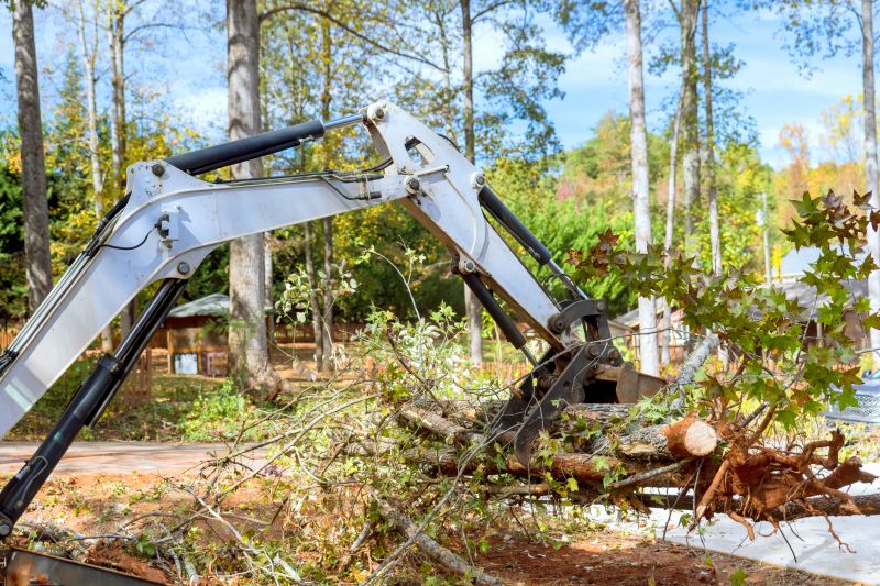 Construction Site Land Clearing in Houston, TX