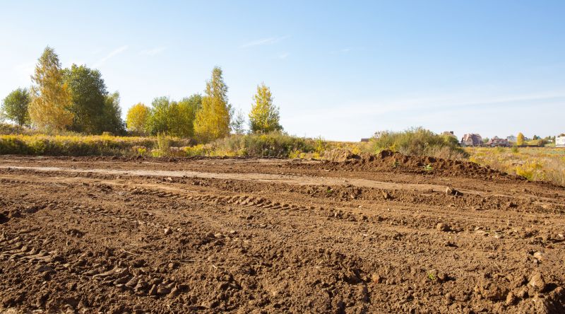 Easement Land Clearing in Salt Lake City, UT