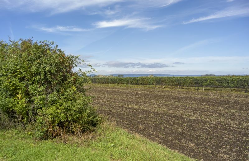 Farm Clearing in Salt Lake City, UT