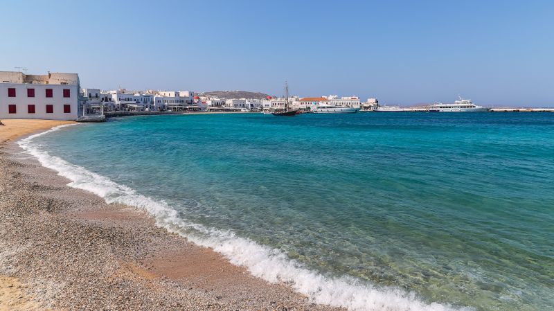Lakefront Property Clearing in Atlanta, GA