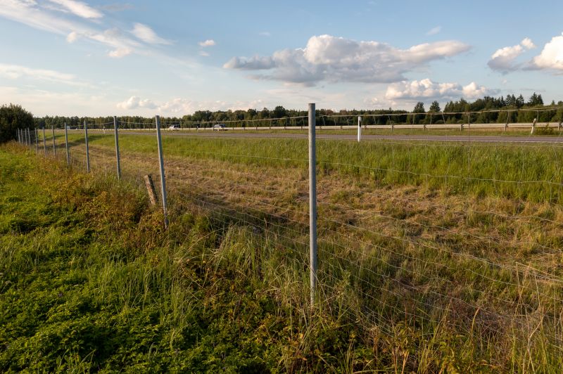 Property Line Clearing in Katy, TX