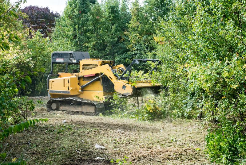 Underbrush Clearing in Marietta, GA