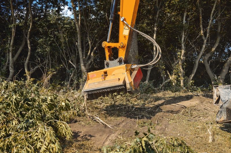 Undergrowth Removal in Marietta, GA